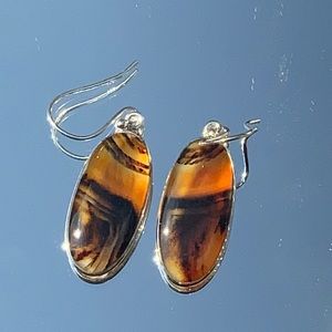 MONTANA AGATE FROM YELLOWSTONE RIVER 925 STERLING SILVER EARRINGS